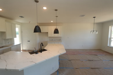 Kitchen - still under construction!