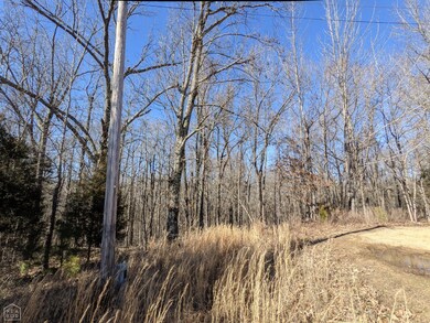 675 Greene 706 Rd, Jonesboro, AR 72401 - photo 3