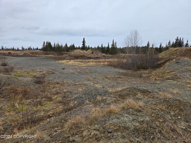 27180 Cloyds Rd, Happy Valley, AK 99556 - photo 4