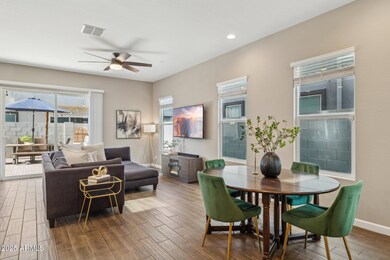 Bright natural light-blinds