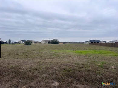 363 Sendera Loop, Victoria, TX 77904 - photo 6