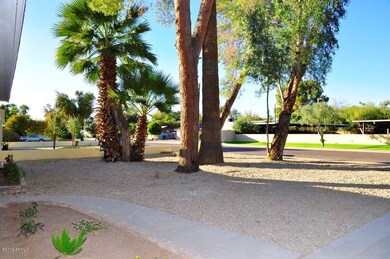 Front Yard