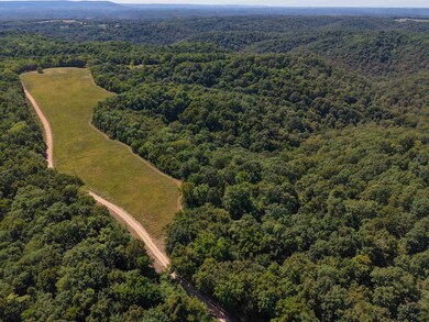 1168 Love Hollow Rd, Mount Pleasant, AR 72561 - photo 3