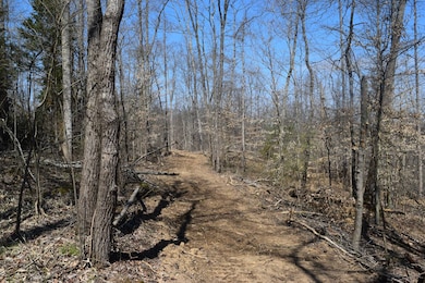 000000 Sawmill Rd, English, IN 47118 - photo 3