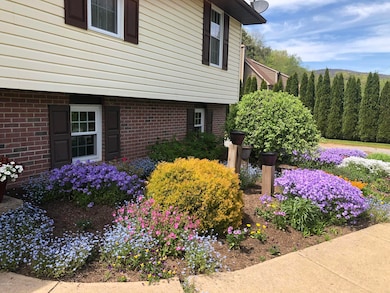 More Blooms
