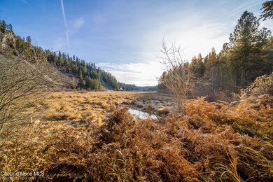 751 Kelso Lake Rd, Athol, ID 83801 - photo 7