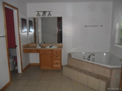 16773 Canal Rd, Dozier, AL 36028 - photo 5