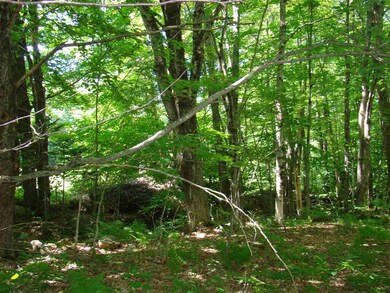 15 Taylor Ln, Whitingham, VT 05361 - photo 2