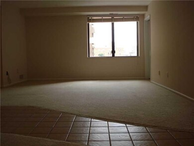 Living Room. This large room has neutral carpeting