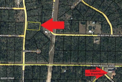 Lot 34 Anderson Dr, Alford, FL 32420 - photo 5