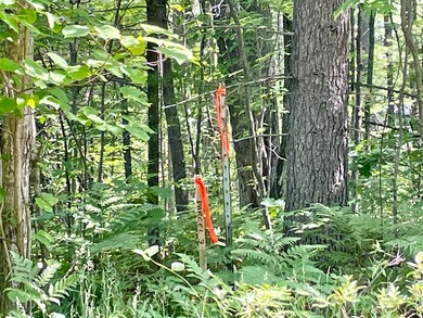 survey stake by road