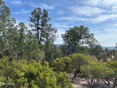 1703 E Redbud Ct unit 878, Payson, AZ 85541 - photo 7