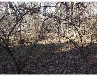 139 McGee Rd, West Fork, AR 72774 - photo 6