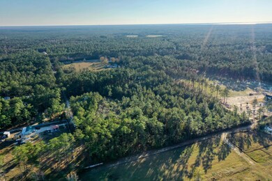 DJI_0356