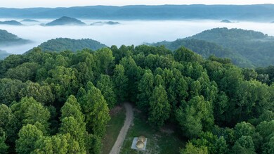 502/Ac TBD Gregory Rd, Sneedville, TN 37869 - photo 7