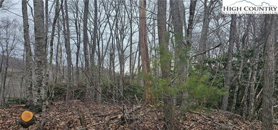 Lot 3 Raven Rock Dr, Boone, NC 28607 - photo 6