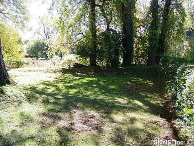 Backyard Quiet enjoyment in peaceful setting