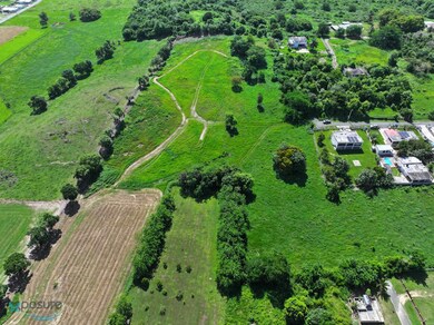 0 Calle de La Cruz, Camuy, PR 00627 - photo 5