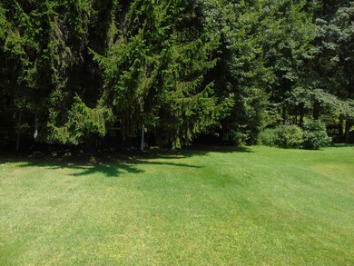 247 W Kirmar Ave, Nanticoke, PA 18634 - photo 6