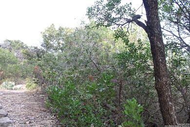 11210 Condor Pass, Helotes, TX 78023 - photo 4