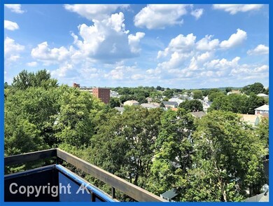 32 Whites Ave unit F8802, Watertown, MA 02472 - photo 3