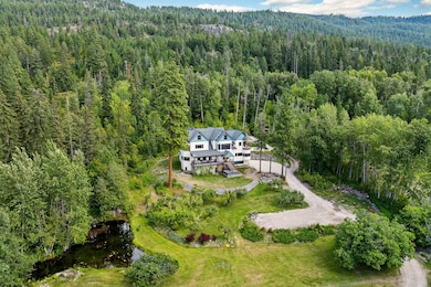 Aerial overview of property's location with a forest