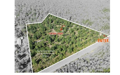 18180 180th St, Live Oak, FL 32060 - photo 3