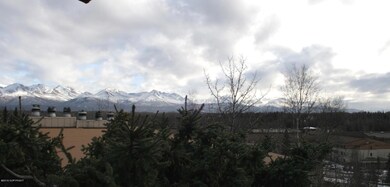 View from deck