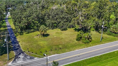 0 Mcintosh Rd unit MFRTB8433127, Dover, FL 33527 - photo 6