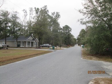 97 Tafflinger Rd, Crawfordville, FL 32327 - photo 6