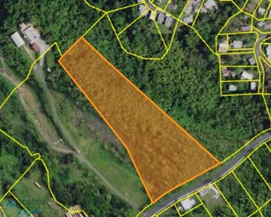 1 Carr 726 Km 1 8 Bo Caonillas, Aibonito, PR 00705 - photo 5