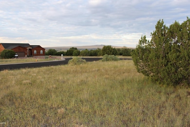 Elk Crest Lot 12 (4)