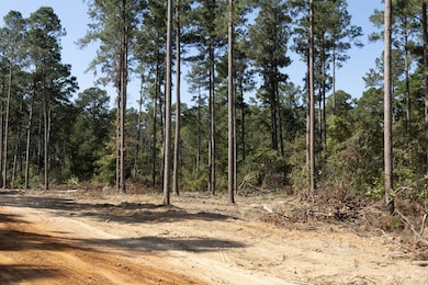 0 Louisiana 818, Ruston, LA 71270 - photo 2