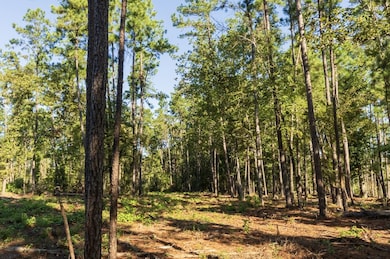 24398 Lot 17 Fm 3173, Broaddus, TX 75929 - photo 2