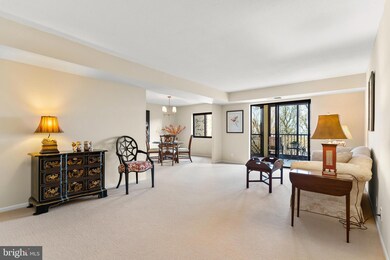 5901 Mount Eagle Dr unit 812, Alexandria, VA 22303 - photo 2