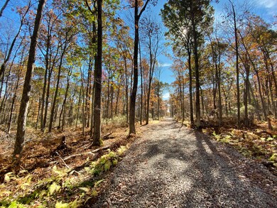 0 Tunnel Rd, Milford, PA 18337 - photo 7