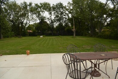 Patio and Backyard