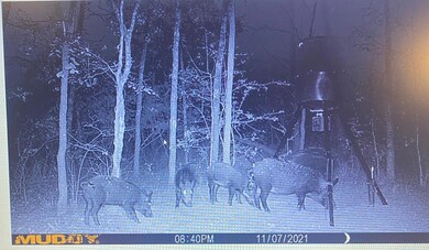 00 Cr 1316, Malakoff, TX 75148 - photo 7