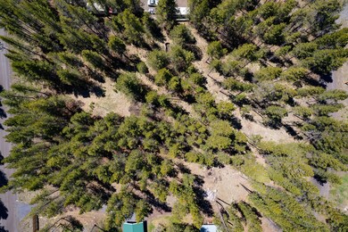 17053 Island Loop Aerial