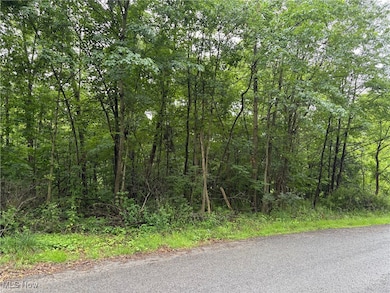 2077 Coleman Ave, Akron, OH 44312 - photo 3