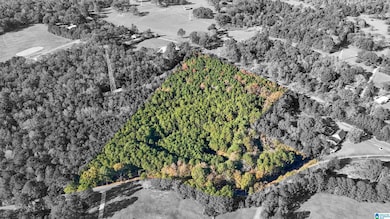 0 Eureka Rd unit 21437192, Lincoln, AL 35096 - photo 5