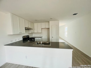 2520 Sweet Olive, New Braunfels, TX 78130 - photo 7