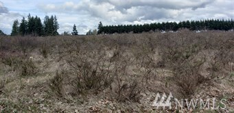 906 NW Rhoton Rd, Yelm, WA 98597 - photo 2