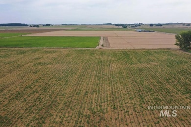 Aerial view of sparsely populated area with rows of crops