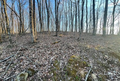 Lot 38 Bears Paw Dr, Ellijay, GA 30536 - photo 6