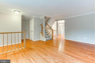 13825 Laura Ratcliff Ct, Centreville, VA 20121 - photo 4