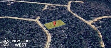 0 Jackson Rd unit 776995, Marianna, FL 32448 - photo 3