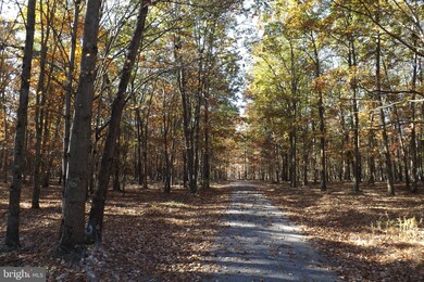 10 S Branch Rd, Levels, WV 25431 - photo 3