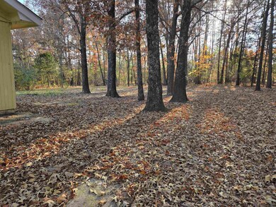 156 Pottawattamie Dr, Cherokee Village, AR 72529 - photo 4