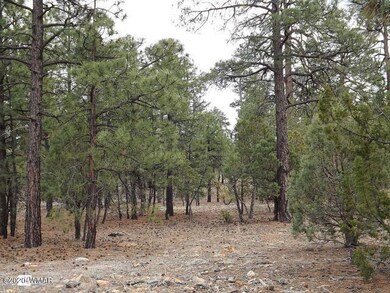Ponderosa 4